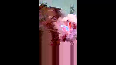 Snapshot of plumber336652 chatting on 05-31-26, 12:30 plumber336652 online show from 05-31-26, 12:30