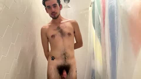 Snapshot of plutothepuppy chatting on 11-18-25, 08:46 Pluto The Pup online show from 11-18-25, 08:46