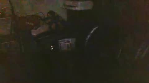 pnwbull25 online show from 03-27-26, 09:32