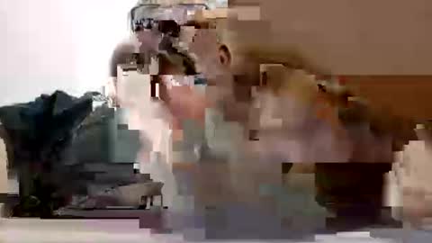 Snapshot of poli475 chatting on 02-27-26, 07:14 poli online show from 02-27-26, 07:14