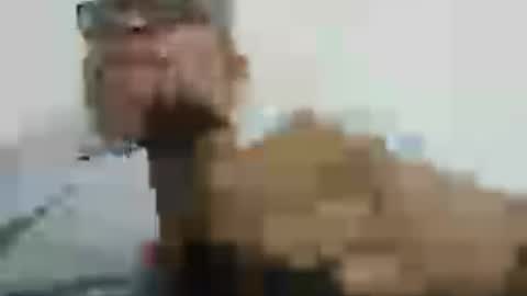 poli online show from 07-18-26, 06:12