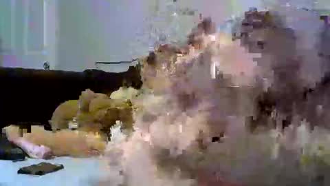 Snapshot of pollenpup chatting on 01-12-26, 01:22 sativa indica online show from 01-12-26, 01:22