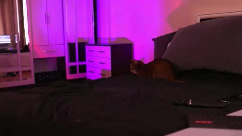 Snapshot of polusladkoye chatting on 09-17-25, 01:02 Megan.online  online show from 09-17-25, 01:02