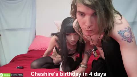 Cheshire  Bee online show from 06-05-26, 11:54
