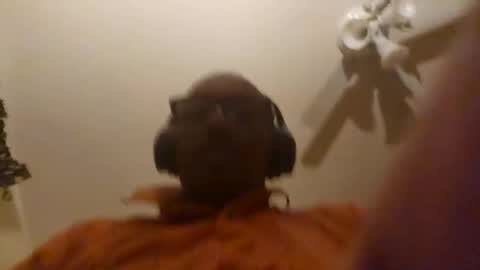 Phil online show from 04-08-26, 07:19