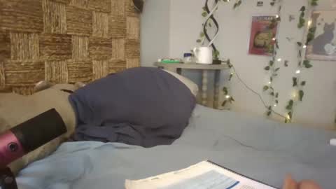 Emily at Home online show from 02-17-25, 03:31