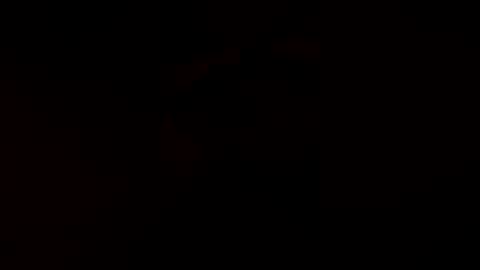 possumborne1 online show from 08-02-26, 12:47