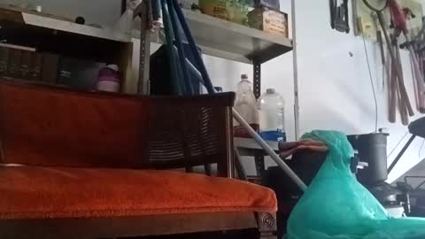 PipeLayerPlayer007 online show from 09-14-25, 04:50