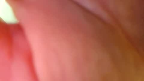 Snapshot of powermute22 chatting on 02-26-26, 10:14 Big Dick online show from 02-26-26, 10:14