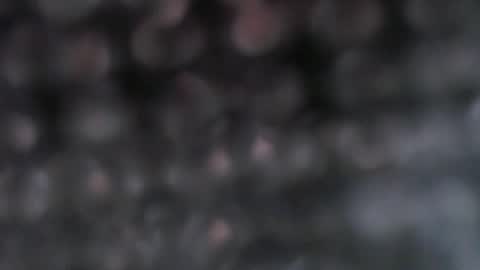 Snapshot of pregnantsinglesugar chatting on 09-20-25, 02:29 WELCOME IM SINGLE PREGNANT REALLY HARD TO BE A SINGLE WITH TWIN SO PLS STOP BEING RUDELIARWASTING TIME. BE CONSIDERATE. TNX online show from 09-20-25, 02:29