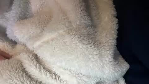 Snapshot of prelako chatting on 10-26-25, 12:00 Prelako online show from 10-26-25, 12:00