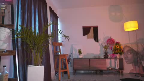 Snapshot of pretties_nay chatting on 01-27-25, 12:26 Nayrobi online show from 01-27-25, 12:26