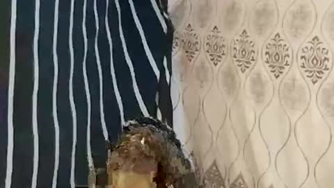 Snapshot of pretty705007 chatting on 03-21-26, 12:26 pretty705007 online show from 03-21-26, 12:26