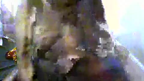 Snapshot of pretty_barbz chatting on 03-08-25, 03:06 pretty_barbz online show from 03-08-25, 03:06