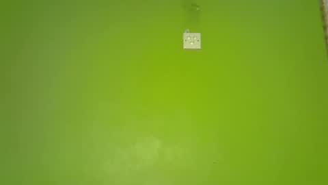 pretty_g2 online show from 12-01-25, 05:01