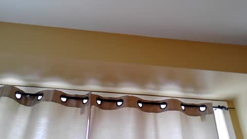 pretty_littletoy online show from 03-05-26, 02:02