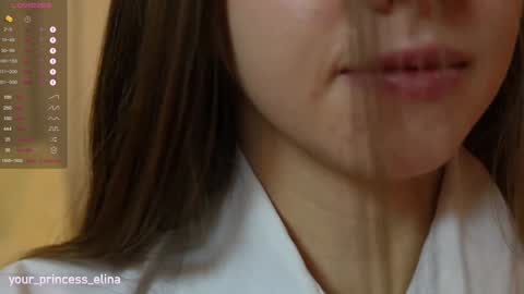 Snapshot of pretty_princess_elina chatting on 01-25-25, 05:30 Elina online show from 01-25-25, 05:30