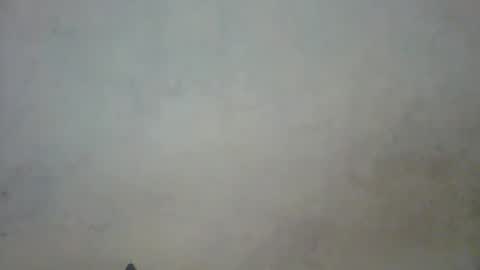 Snapshot of prettycarl_2 chatting on 03-01-25, 10:42 prettycarl_2 online show from 03-01-25, 10:42