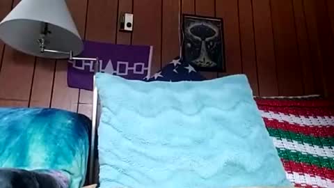 prettysolidd7 online show from 12-04-24, 02:59