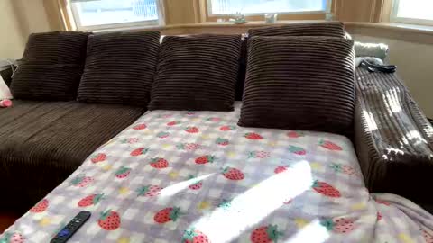 Snapshot of princ3ssarii chatting on 12-05-25, 07:43 Princess Arii online show from 12-05-25, 07:43