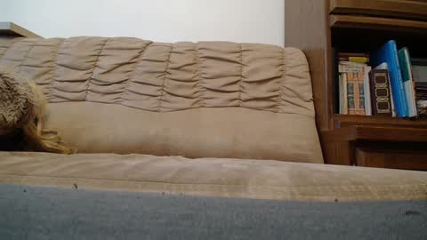 Prince Of Prague online show from 02-07-25, 08:22