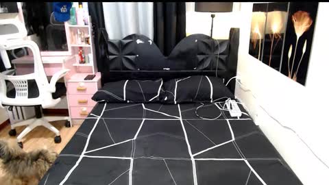 Shane online show from 10-13-25, 08:53