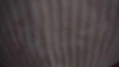 Assi  Incognito girl online show from 02-09-25, 11:14