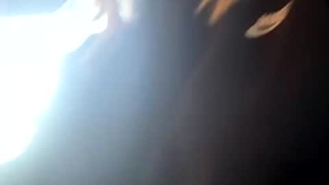 princesskitties online show from 05-10-26, 04:28