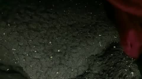 Snapshot of princessoftenis44 chatting on 01-09-26, 01:08 princessoftenis44 online show from 01-09-26, 01:08