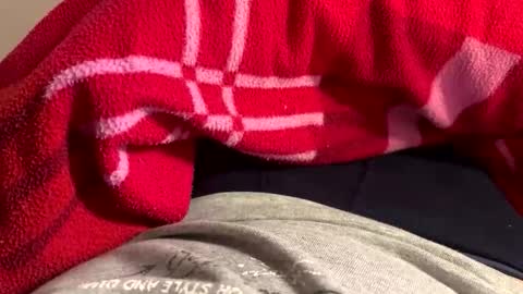 Snapshot of privat2025 chatting on 02-01-26, 08:29 privat2025 online show from 02-01-26, 08:29