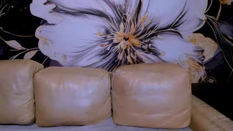 Snapshot of project_barbara chatting on 10-11-25, 03:43 Barbara online show from 10-11-25, 03:43