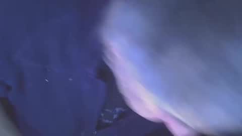 projectorepson online show from 01-11-26, 07:35