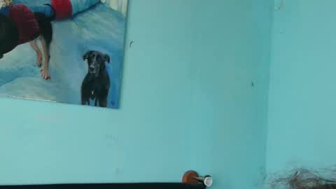 prxscillia_tx online show from 11-06-25, 01:45