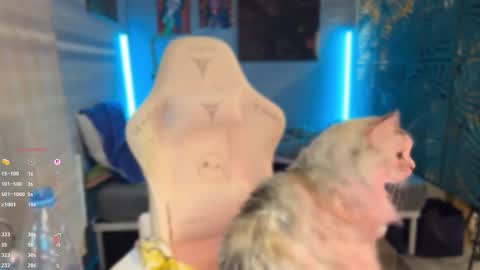 Queen of Pain online show from 03-07-26, 04:04