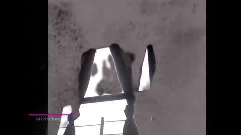 Snapshot of puddled_wonderland chatting on 01-06-25, 01:52 puddled_wonderland online show from 01-06-25, 01:52