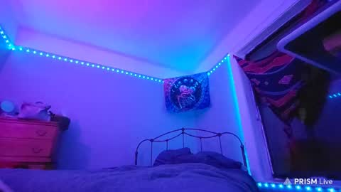 Snapshot of puddled_wonderland chatting on 01-29-25, 05:40 puddled_wonderland online show from 01-29-25, 05:40