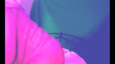 Snapshot of puddled_wonderland chatting on 03-06-26, 11:39 puddled_wonderland online show from 03-06-26, 11:39