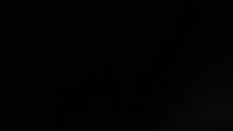 pumpkin3000 online show from 05-02-26, 07:24