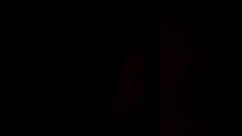 Pup Cup69 online show from 12-17-25, 11:49