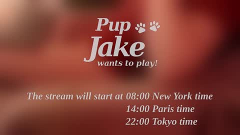 Pup Jake wants to play online show from 12-25-24, 12:05