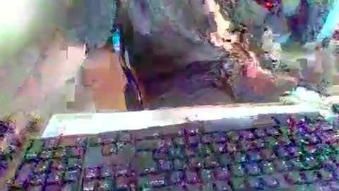 pup_y online show from 09-20-25, 03:02