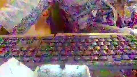 Snapshot of pup_y chatting on 12-20-25, 08:10 pup_y online show from 12-20-25, 08:10