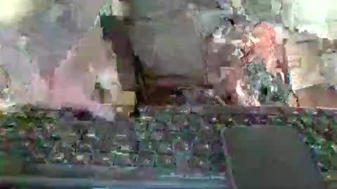 Snapshot of pup_y chatting on 01-12-26, 01:16 pup_y online show from 01-12-26, 01:16