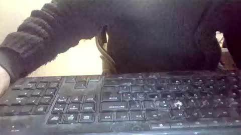 Snapshot of pup_y chatting on 01-31-26, 07:11 pup_y online show from 01-31-26, 07:11