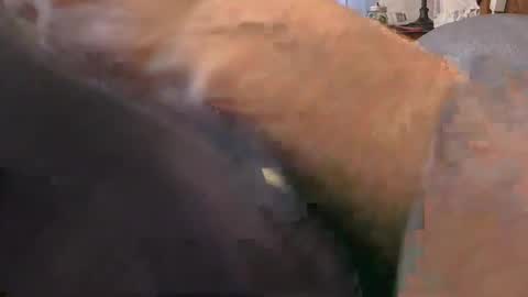 purdyguy7777 online show from 02-24-26, 02:15