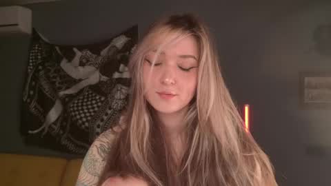 Snapshot of purple_averge chatting on 05-04-26, 03:41 Bella online show from 05-04-26, 03:41