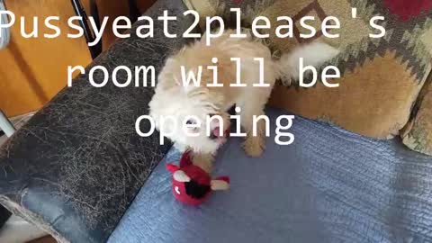 Rick online show from 02-16-25, 09:48