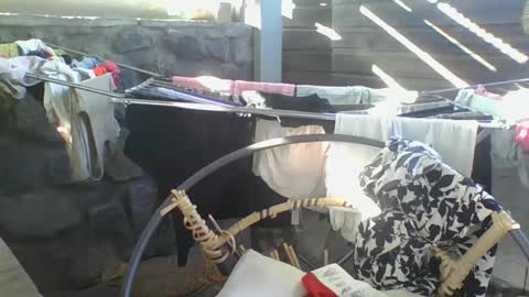 Snapshot of python974 chatting on 01-10-25, 02:57 Python online show from 01-10-25, 02:57