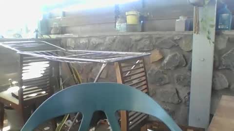 Snapshot of python974 chatting on 11-29-25, 04:04 Python online show from 11-29-25, 04:04