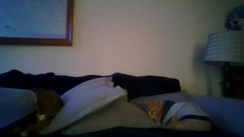 Snapshot of queenbee6269 chatting on 02-06-25, 05:51 queenbee6269 online show from 02-06-25, 05:51